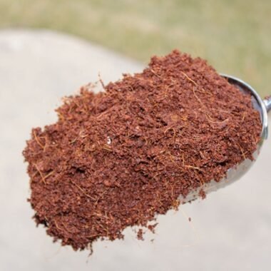 The need of life with vip style