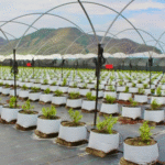 Hydro Max ++ Open Top Grow Bag