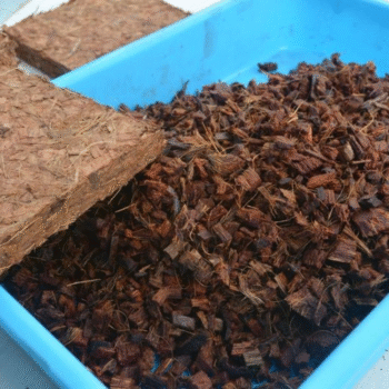 Coir Pith Chip 5kg - 70/30%